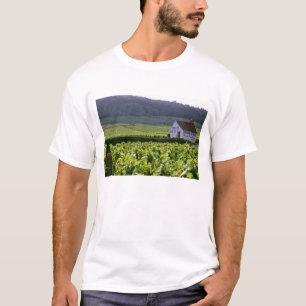 Chambertin Clos de Beze Grand Cru vineyard with T-Shirt