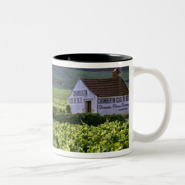 Chambertin Clos de Beze Grand Cru vineyard with Two-Tone Coffee Mug (Right)