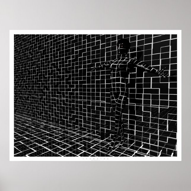 Chamelea Poster (Front)