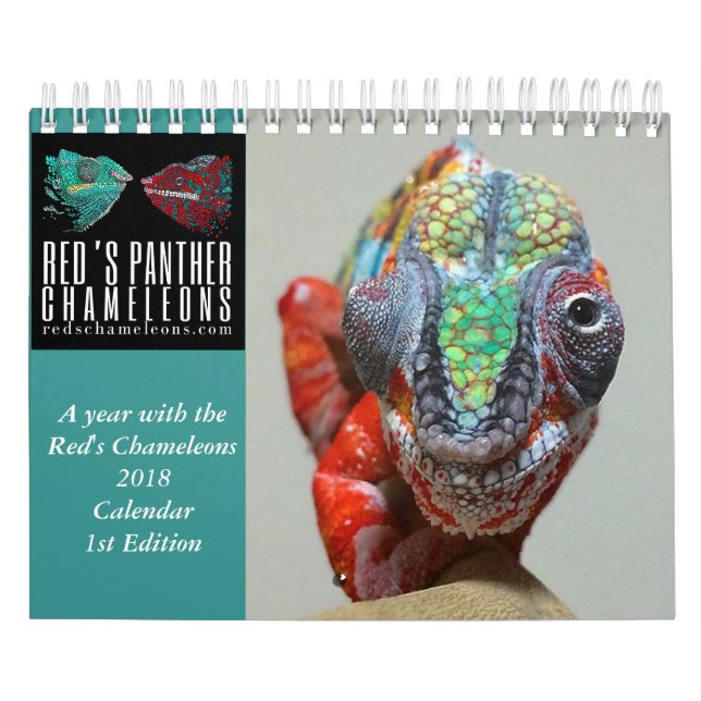 Chameleon Calendar (Cover)