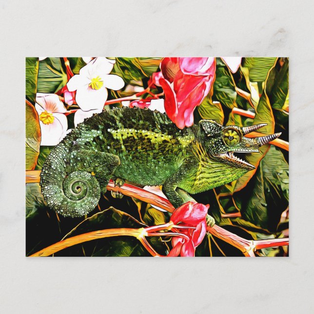 Chameleon Charisma Postcard (Front)