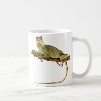 Chameleon Cup
