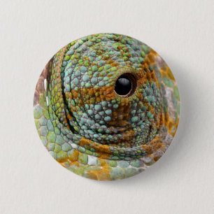 Chameleon Eye Mod Stylish Animal 6 Cm Round Badge