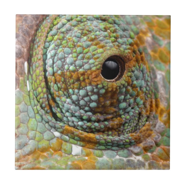 Chameleon Eye Mod Stylish Animal Ceramic Tile (Front)