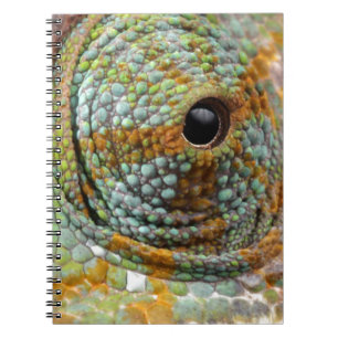 Chameleon Eye Mod Stylish Animal Notebook