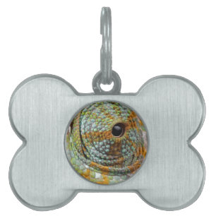 Chameleon Eye Mod Stylish Animal Pet Tag