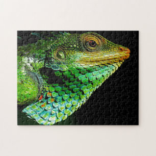 Chameleon Head Close-up, Jigsaw Puzzle