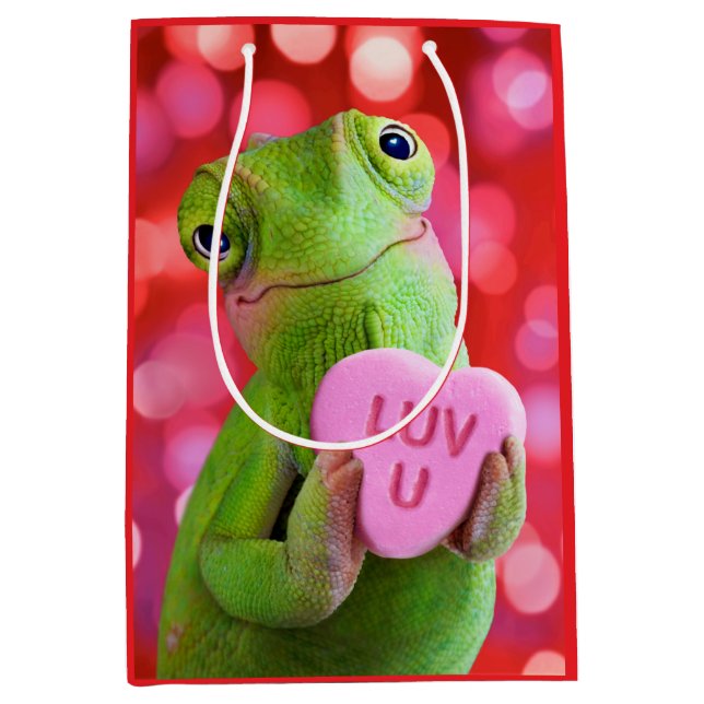 Chameleon Heart (Luv U) Medium Gift Bag (Front)