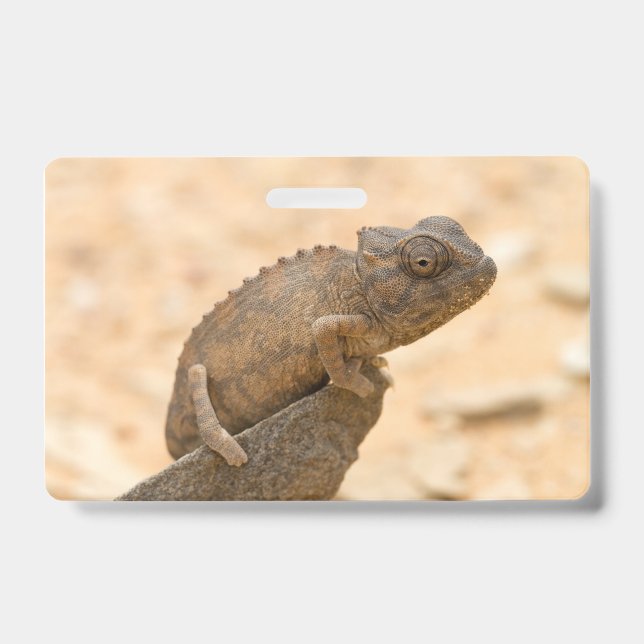 Chameleon in Namibia ID Badge (Front)