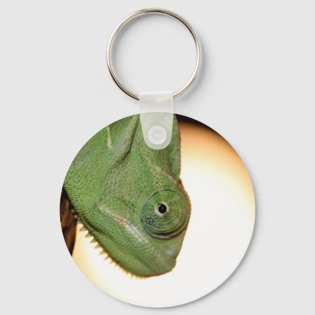 chameleon key ring (Front)