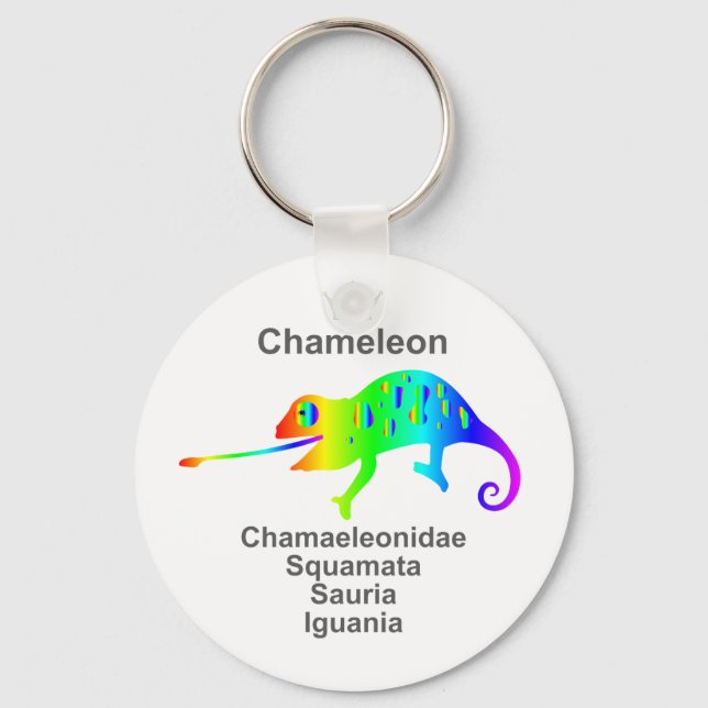 Chameleon Key Ring (Front)