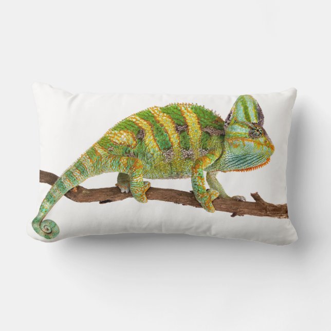 Chameleon Lumbar Cushion (Front)
