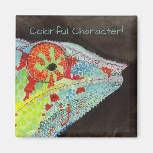 Chameleon Magnet