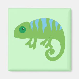 Chameleon Magnet