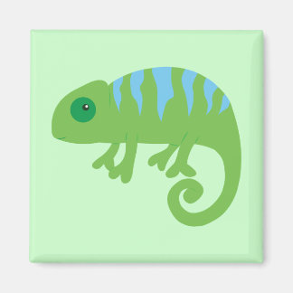 Chameleon Magnet