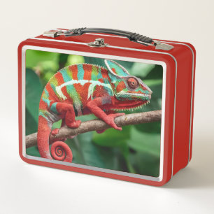 Chameleon  metal lunch box