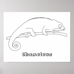 Chameleon Outline Drawing Posters