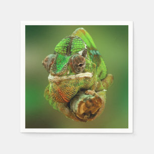 Chameleon Photo Napkin