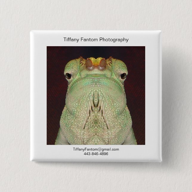 Chameleon Promo Piece 15 Cm Square Badge (Front)