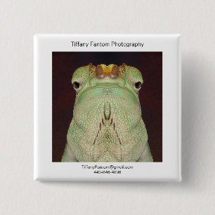 Chameleon Promo Piece 15 Cm Square Badge