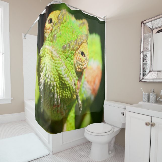 Chameleon Shower Curtain (In Situ)