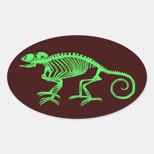 Chameleon Skeleton Oval Sticker (Front)