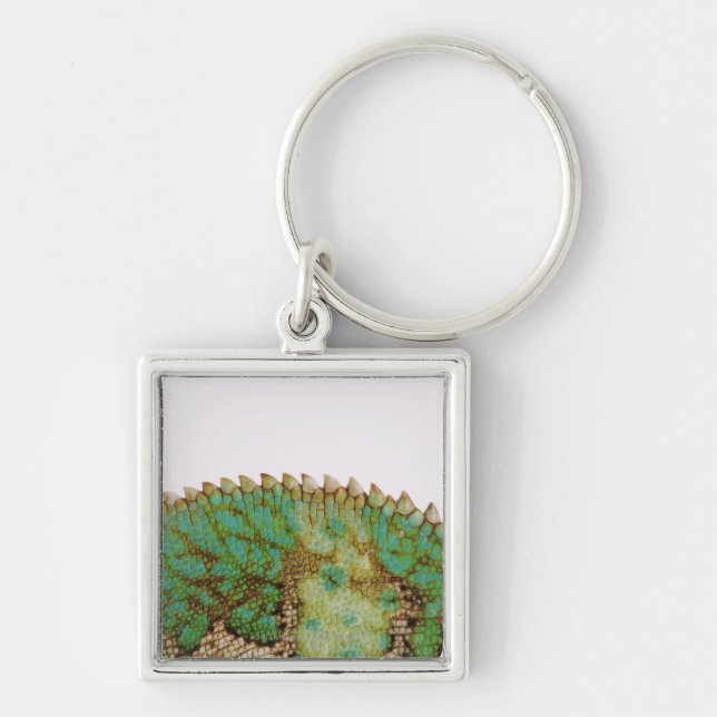 Chameleon skin change key ring (Front)