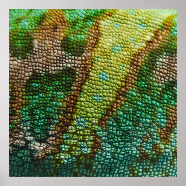 Chameleon Skin Texture Template Poster (Front)