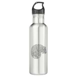Chameleon Zendoodle 710 Ml Water Bottle