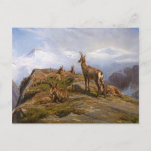 Chamois by Rosa Bonheur Postcard