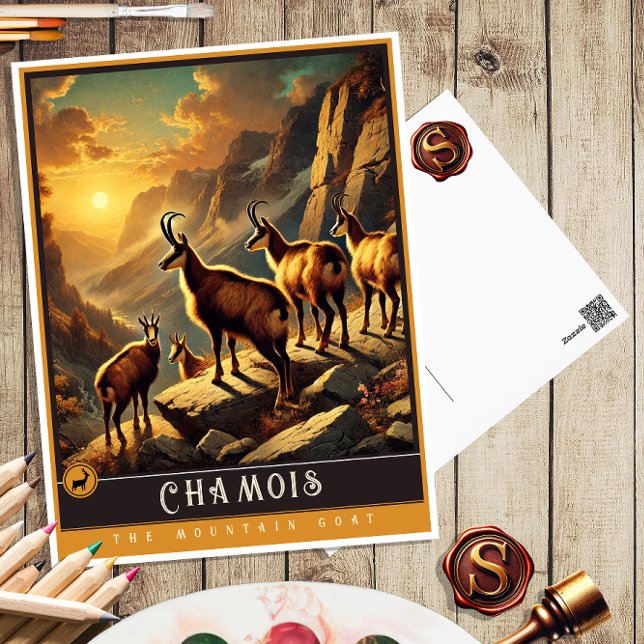 Chamois | Cute Family Vintage Animal Postcard (Creator Uploaded)