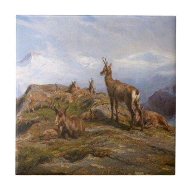Chamois Goats in the French Alps Mountain Range Ceramic Tile (Front)