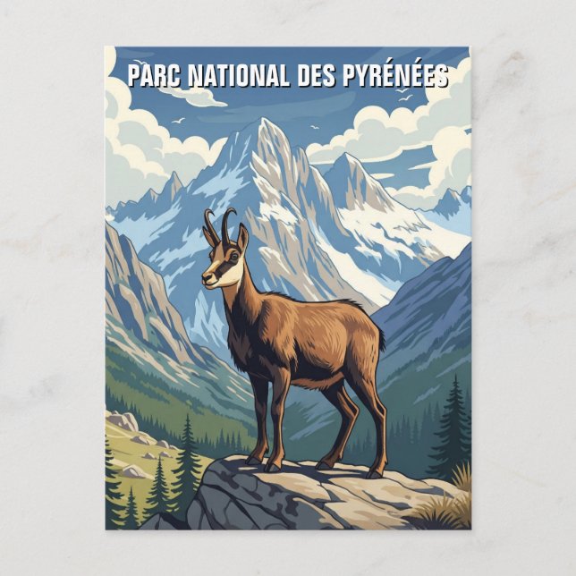 Chamois in France Pyrenees National Park Travel Postcard (Front)