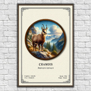 Chamois Zoology Series Poster