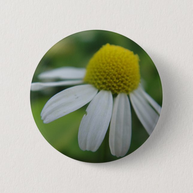 chamomile 6 cm round badge (Front)