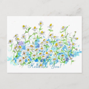 Chamomile Daisy Garden Hello To You Postcard
