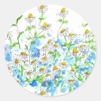 Chamomile Daisy Garden Herb Watercolor