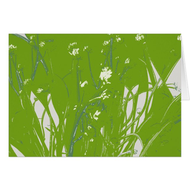 chamomile field green (Front Horizontal)