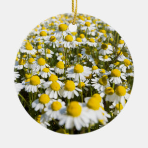 Chamomile Field, Hungary Ceramic Tree Decoration