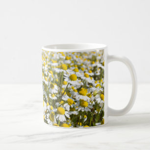 Chamomile Field, Hungary Coffee Mug