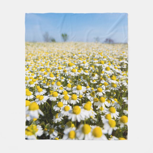 Chamomile Field, Hungary Fleece Blanket (Front)
