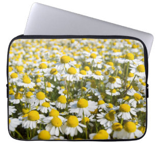 Chamomile Field, Hungary Laptop Sleeve