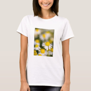 Chamomile flower close-up, Hungary T-Shirt