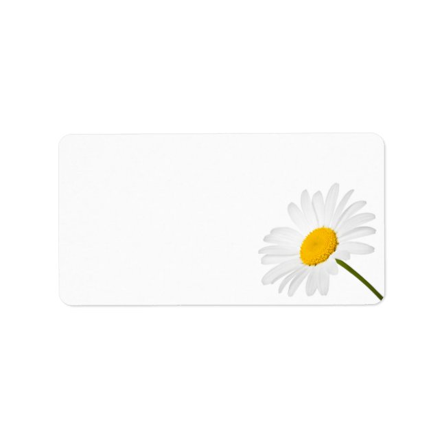 Chamomile Flower Isolated On White Background Label (Front)
