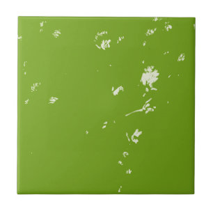 chamomile flowers on green ceramic tile