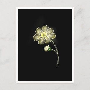 Chamomile Glow Postcard