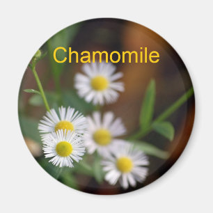 Chamomile magnet