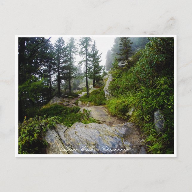 Chamonix - Mt. Blanc, Alpine Landscape, France Postcard (Front)