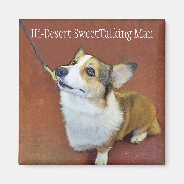 Champ leash magnet with text (Front)