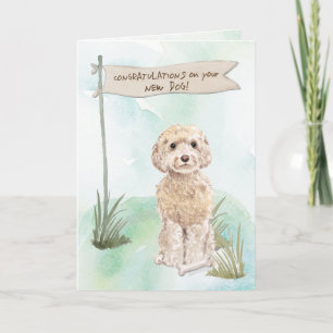 Champagne Cockapoo Congratulations on New Dog Card
